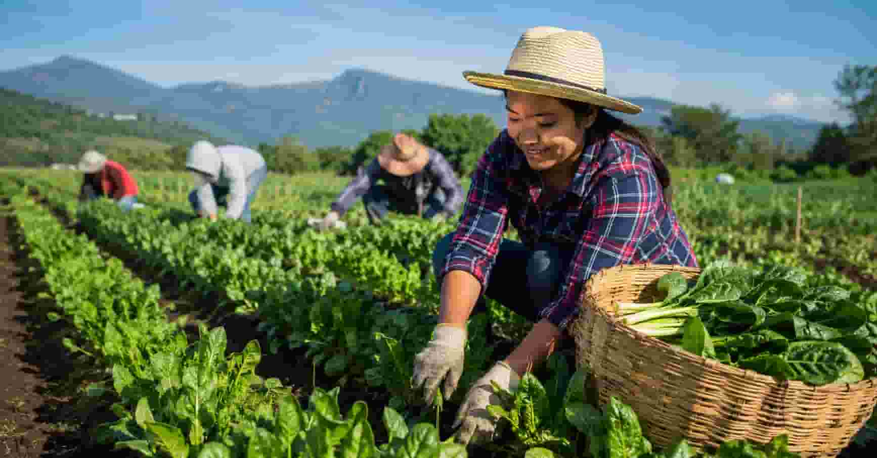 Farm worker jobs in the USA